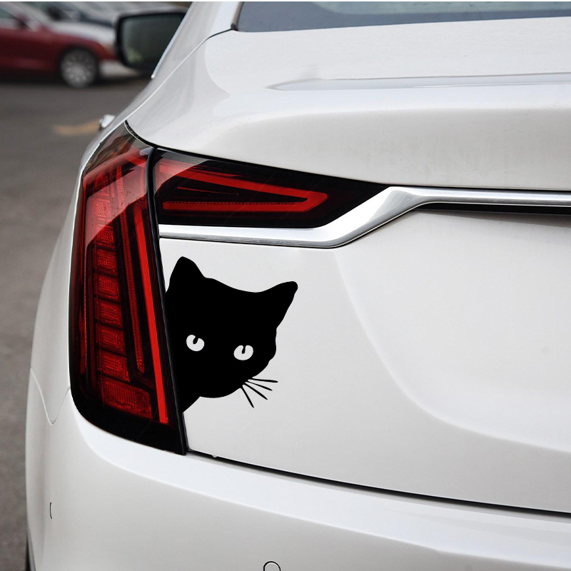 Car interior stickers black/wh - Interior Design Intern ulasan dan harga